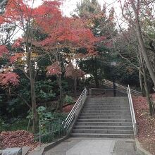 麓の公園からお城に続く階段