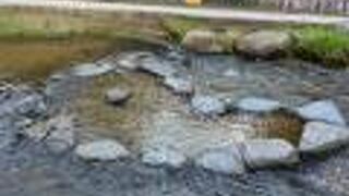 玉湯川にあります。