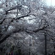 桜坂 クチコミ アクセス 営業時間 田園調布 フォートラベル 桜坂 クチコミ アクセス 営業時間 田園調布 フォートラベル