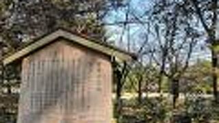 榧の木にちなんで