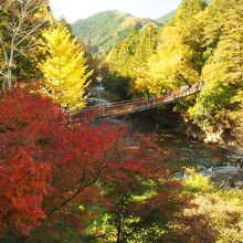 石舟橋と紅葉