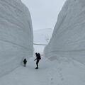 大谷の雪壁