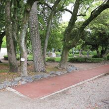 正面から右手へ、時計と反対周りに進むと、すぐに…