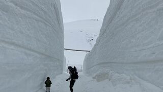 大谷の雪壁