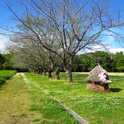 Vast park that can be called a comprehensive outdoor amusement park