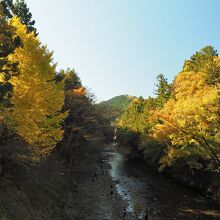 秋川渓谷の紅葉