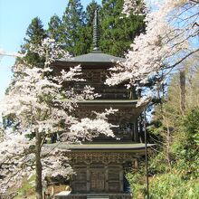 桜に囲まれた三重塔