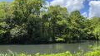 ゆっくりできる公園