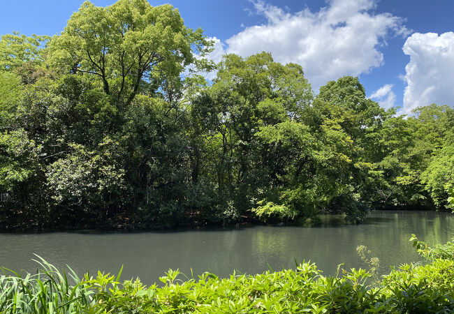 ゆっくりできる公園