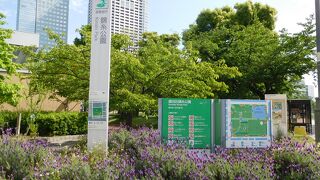 錦糸町駅近くの広々とした公園