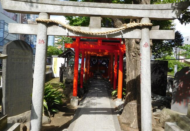 千種稲荷神社 クチコミ アクセス 営業時間 錦糸町 フォートラベル 千種稲荷神社 クチコミ アクセス 営業時間 錦糸町 フォートラベル