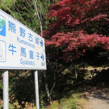 道の駅からこの表示を見てコースに入ります