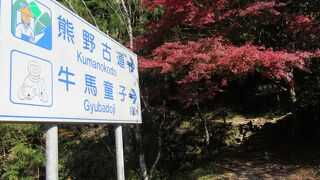 熊野古道の中でも、急坂なので覚悟が必要