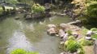 資料館の横に広がる池泉回遊式庭園