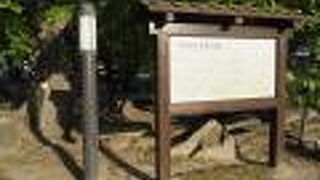 平和大通り沿い