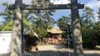 地元の方が祈祷されていました