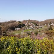 毎年行っています！きれいな花々。春を感じます。