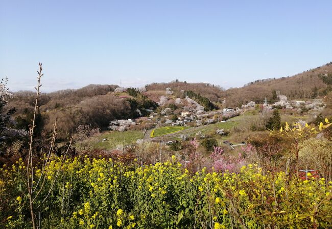 福島市のおすすめ観光スポット クチコミ人気ランキングtop フォートラベル 福島県 福島市のおすすめ観光スポット クチコミ人気ランキングtop フォートラベル 福島県