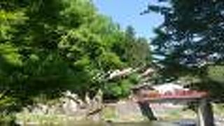 こいのぼりがかかっていました