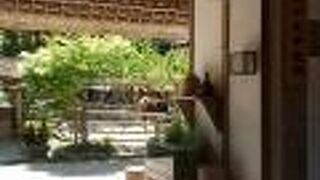 体験ができます