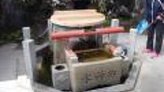 独特のデザイン