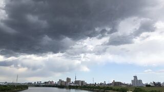 春のうららも、結構川幅がある。