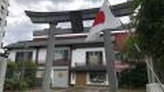 緑色の大きな銀杏の木