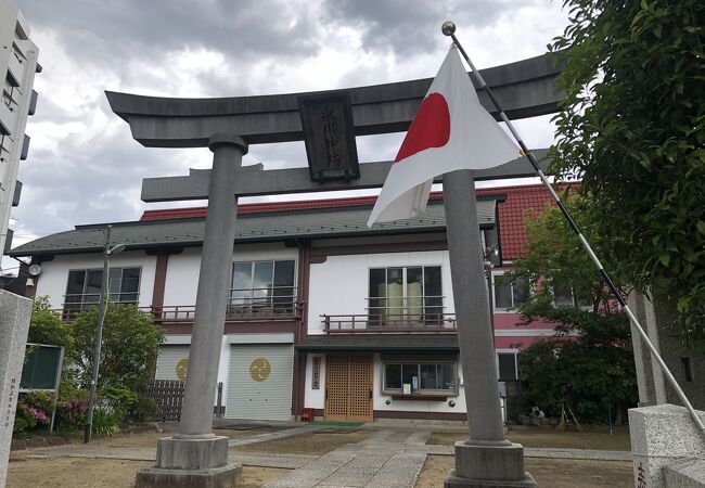 緑色の大きな銀杏の木