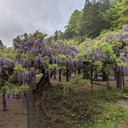 花の香りに癒やされます