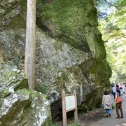 確かに大きな岩です