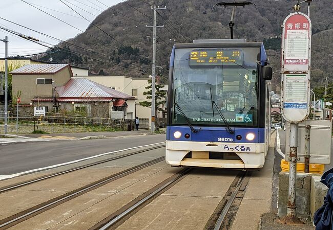 函館市電 青柳町停留場 クチコミ・アクセス・営業時間｜函館【フォートラベル】