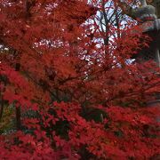 亀岡の紅葉スポット