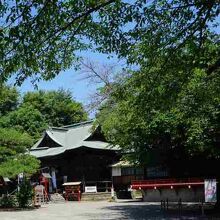 全体は広いです。