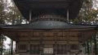 見た目は根本大塔！