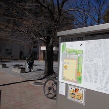 公園の様子です。