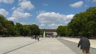 東京国立博物館見ごたえあります。大英博物館やメトロポリタン美術館のよう。シニアは無料。