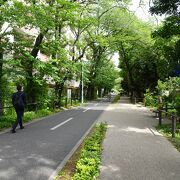 狭山 境緑道 クチコミ アクセス 営業時間 小平 西東京 フォートラベル