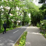 武蔵野の面影残す緑道 （狭山 境緑道）