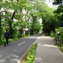 花小金井駅付近の緑道