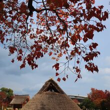 エリア内には遺跡の広場も