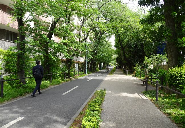 狭山 境緑道 クチコミ アクセス 営業時間 小平 西東京 フォートラベル 狭山 境緑道 クチコミ アクセス 営業時間 小平 西東京 フォートラベル