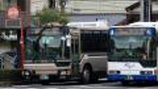 シックなボディ