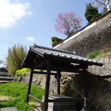 坂の途中にも長閑な景色が見られます