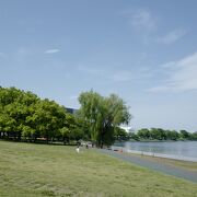 雰囲気の良い木陰や沼、芝生エリアがあり、落ち着いて過ごせます。