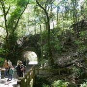 大自然を楽しめる公園