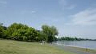 雰囲気の良い木陰や沼、芝生エリアがあり、落ち着いて過ごせます。