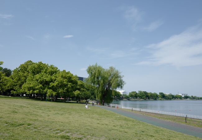 久喜菖蒲公園 クチコミ アクセス 営業時間 幸手 久喜 栗橋 フォートラベル