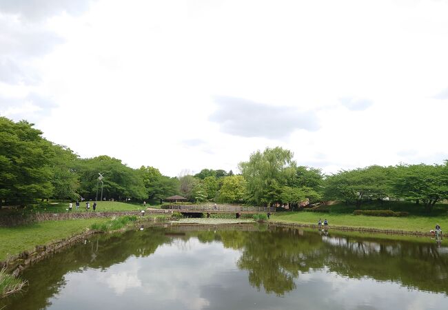 西城沼公園 クチコミ アクセス 営業時間 蓮田 白岡 フォートラベル