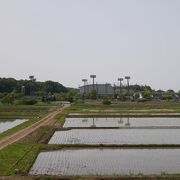 田んぼの向うに見える照明塔