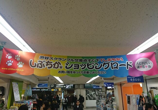 渋谷のおすすめショッピング お買い物スポット クチコミ人気ランキングtop フォートラベル 東京